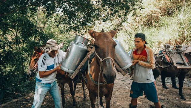Dos hombres campesinos trabajando en el campo junto a un caballo que carga dos tinajas de leche